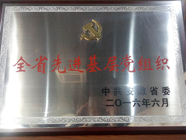 省进步前辈下层党构造